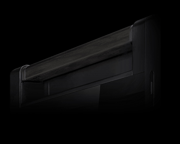 /ProArt PA602 Wood Edition - Metal Panel