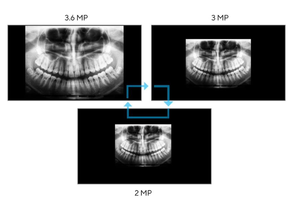 HA2441A