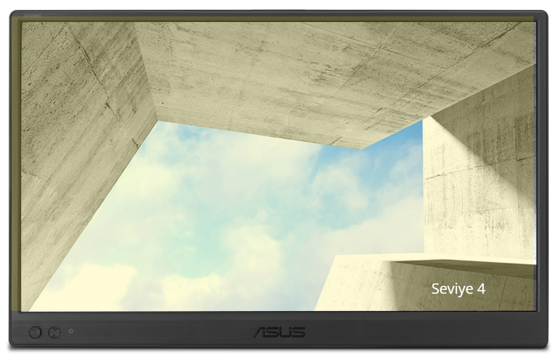 ASUS ZenScreen MB169CK