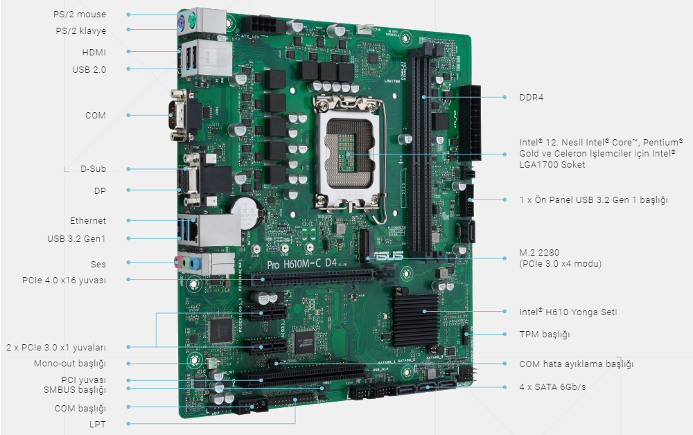 Pro H610M-C D4-CSM